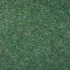 Ковролин Tapisom 900 Green - 900 419002009 00017 фото 1 | FLOORDEALER